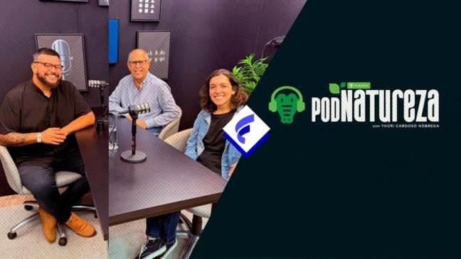 ES é um paraíso para quem ama aves e gosta de "passarinhar"